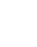 Digital Perfection logo